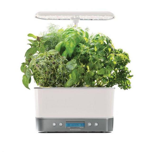 Aero Garden