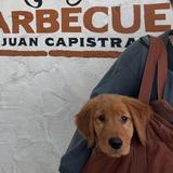 Heritage Barbecue