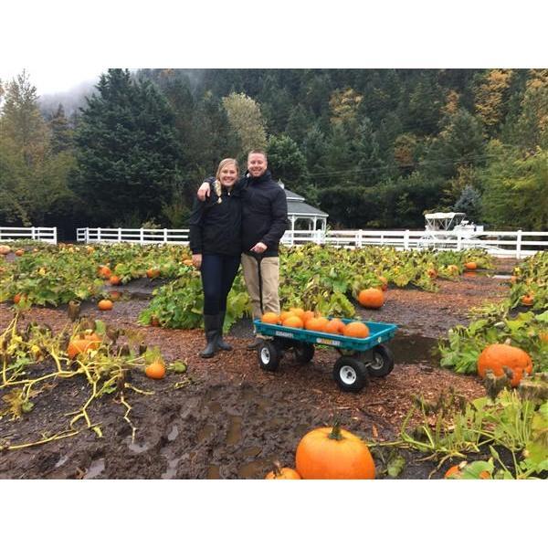 2017 Pumpkin Patch