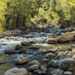 Piney Creek Trail
