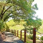 Fantesca Estate & Winery