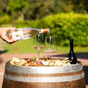 Honeymoon Wine Tasting and Lunch (Tuscany)