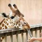 The Living Desert Zoo and Gardens