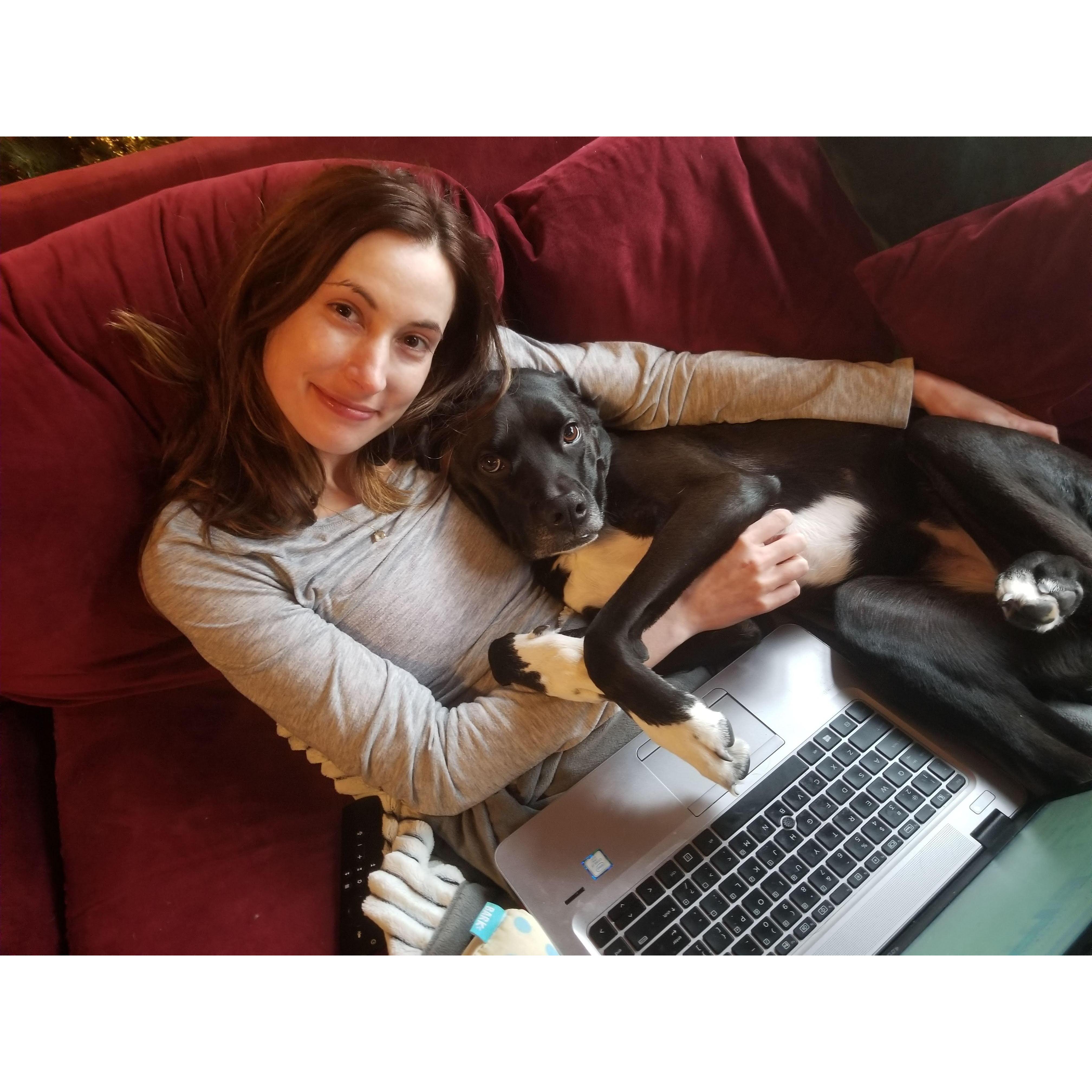 Our WFH pal