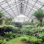 Garfield Park Conservatory