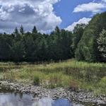 Three Springs Nature Preserve