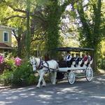Tour Old Wilmington