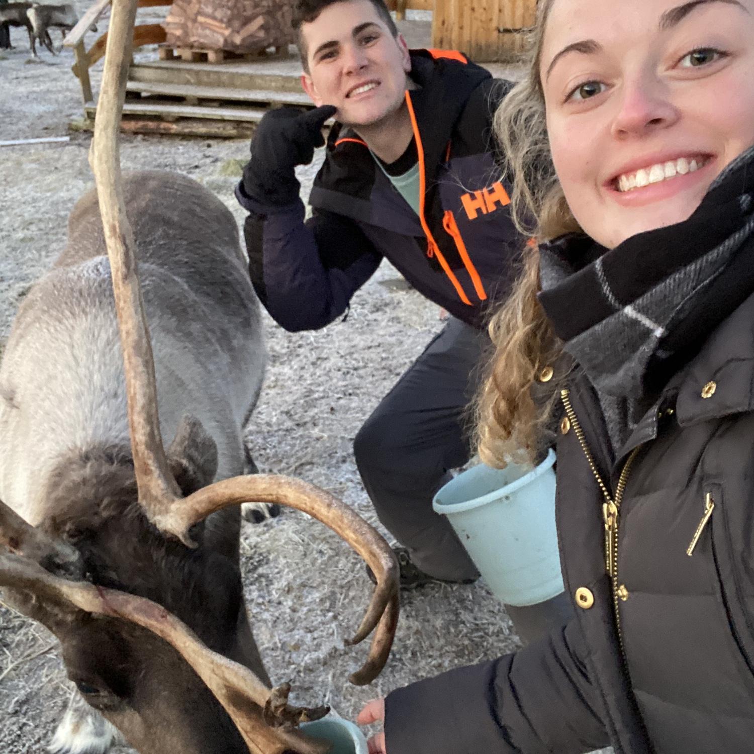 feeding reindeer in Norway!