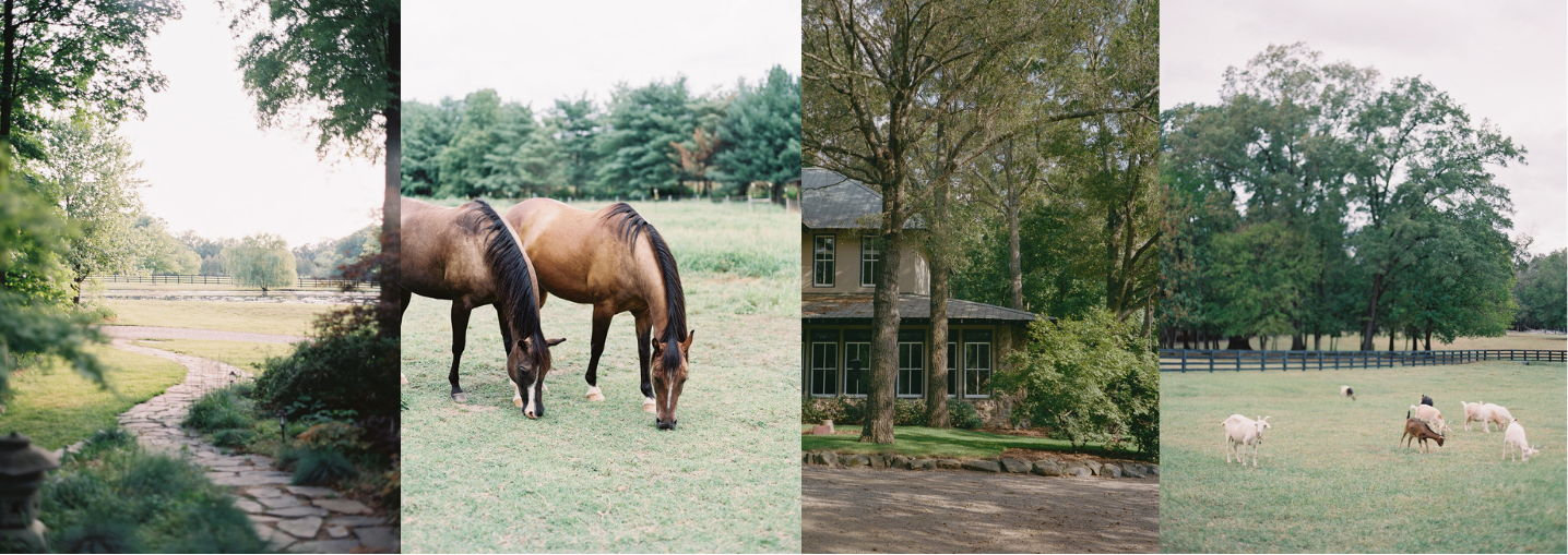 The Wedding Website of Kate Featherstone and Christian Pellicci