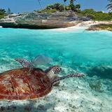 Beach Akumal