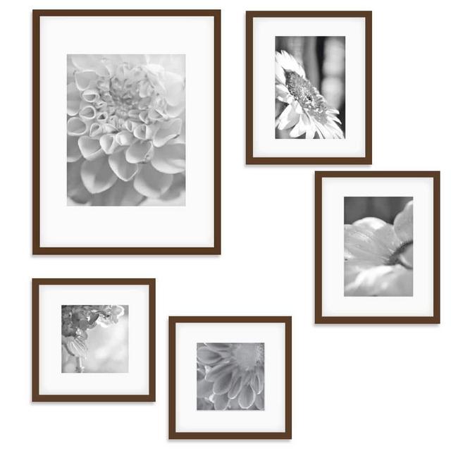 Wall Kit Walnut Picture Frame (5-Pack)