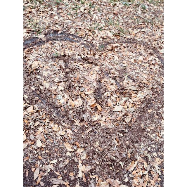 Some say love is written in the stars...Ours is written in the soil...lol