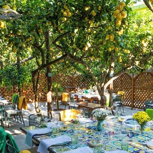 Lemon Tree Restaurant