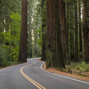 Moving to CA funds
