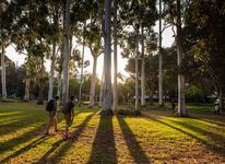 Aldrich Park