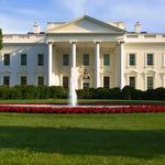 The White House