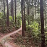 Hoyt Arboretum