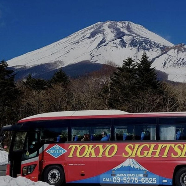 Mount Fuji Bus Tour for 2