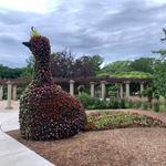 Horticulture Gardens