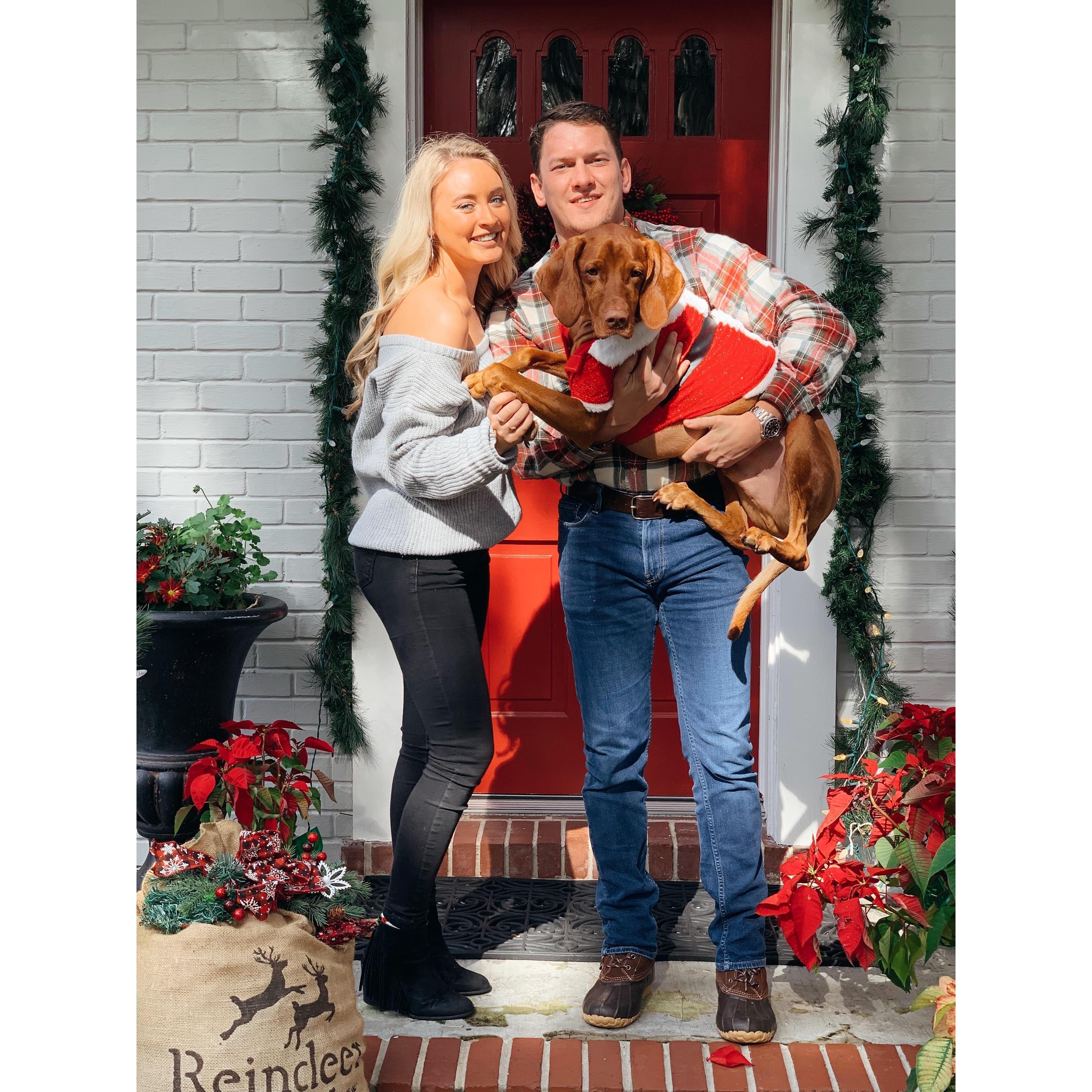 Christmas 2018 featuring Auggie's cute santa suit we bought him :)