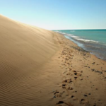 Sleeping Bear Dunes National Lakeshore