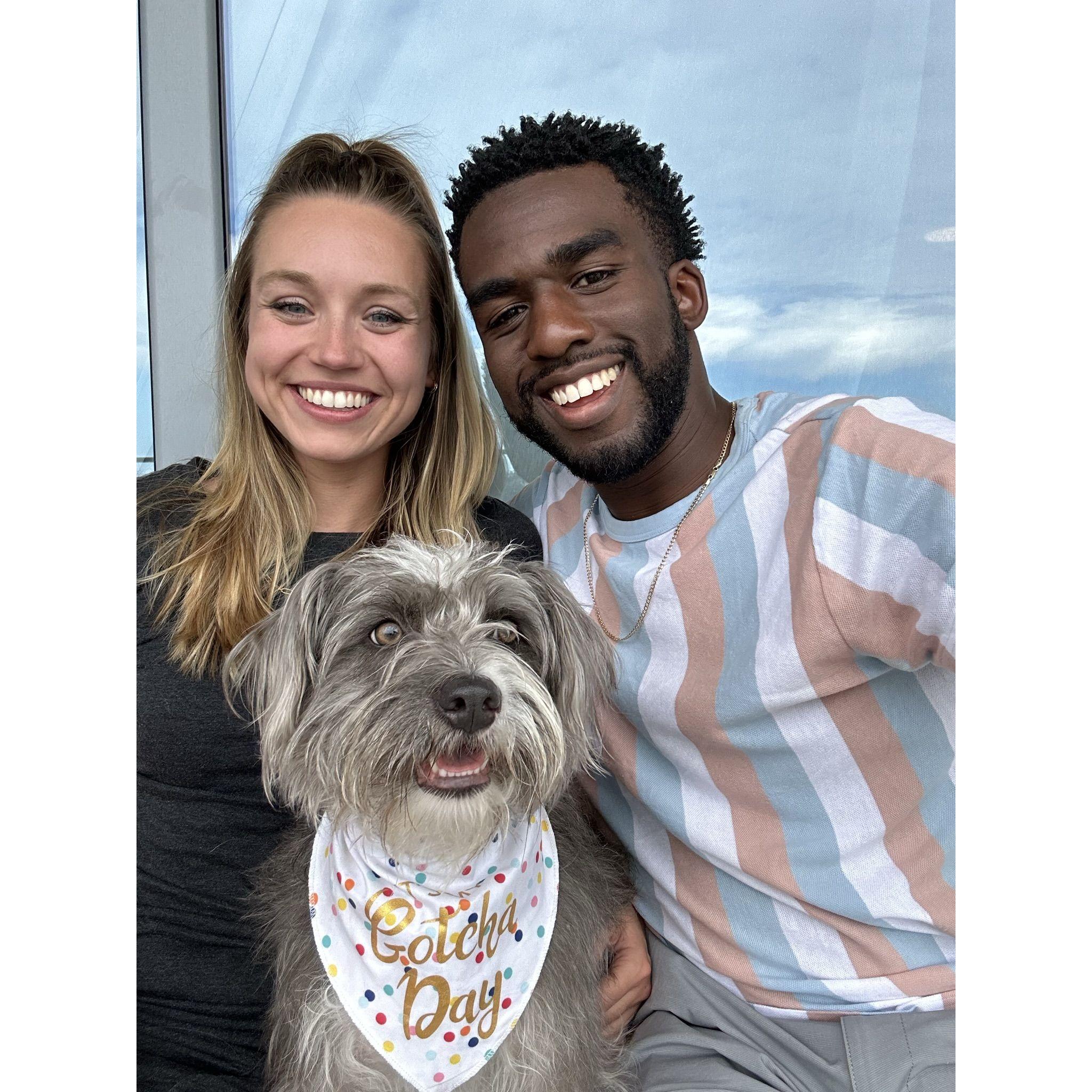 Geno's first "Gotcha Day!"