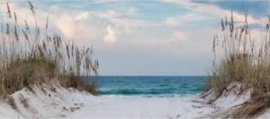 The Wedding Website of Alyssa Conran and Michael DeGasperi