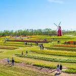 Fun Farm Pumpkin Patch