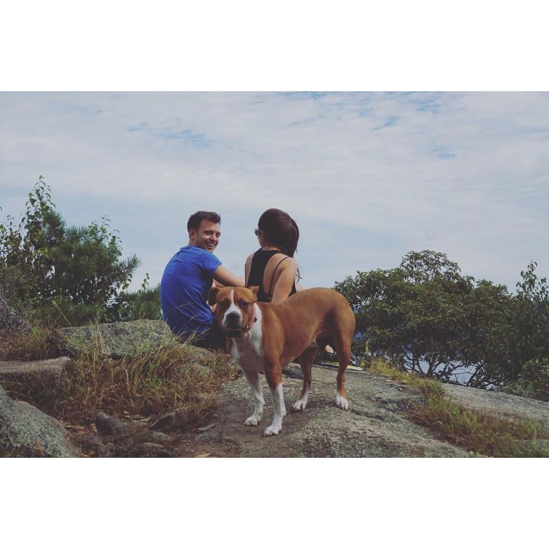bear mountain
