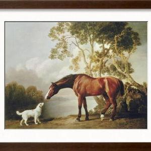 Art.com | Wall Art, Framed Prints, Canvas Paintings & Decor for Sale Online