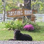 Wisteria Farm and Vineyard