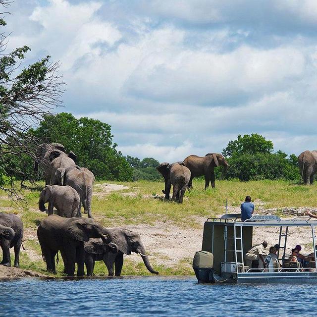 Safari Boat Ride