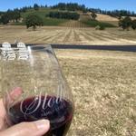 Go Wine Tasting