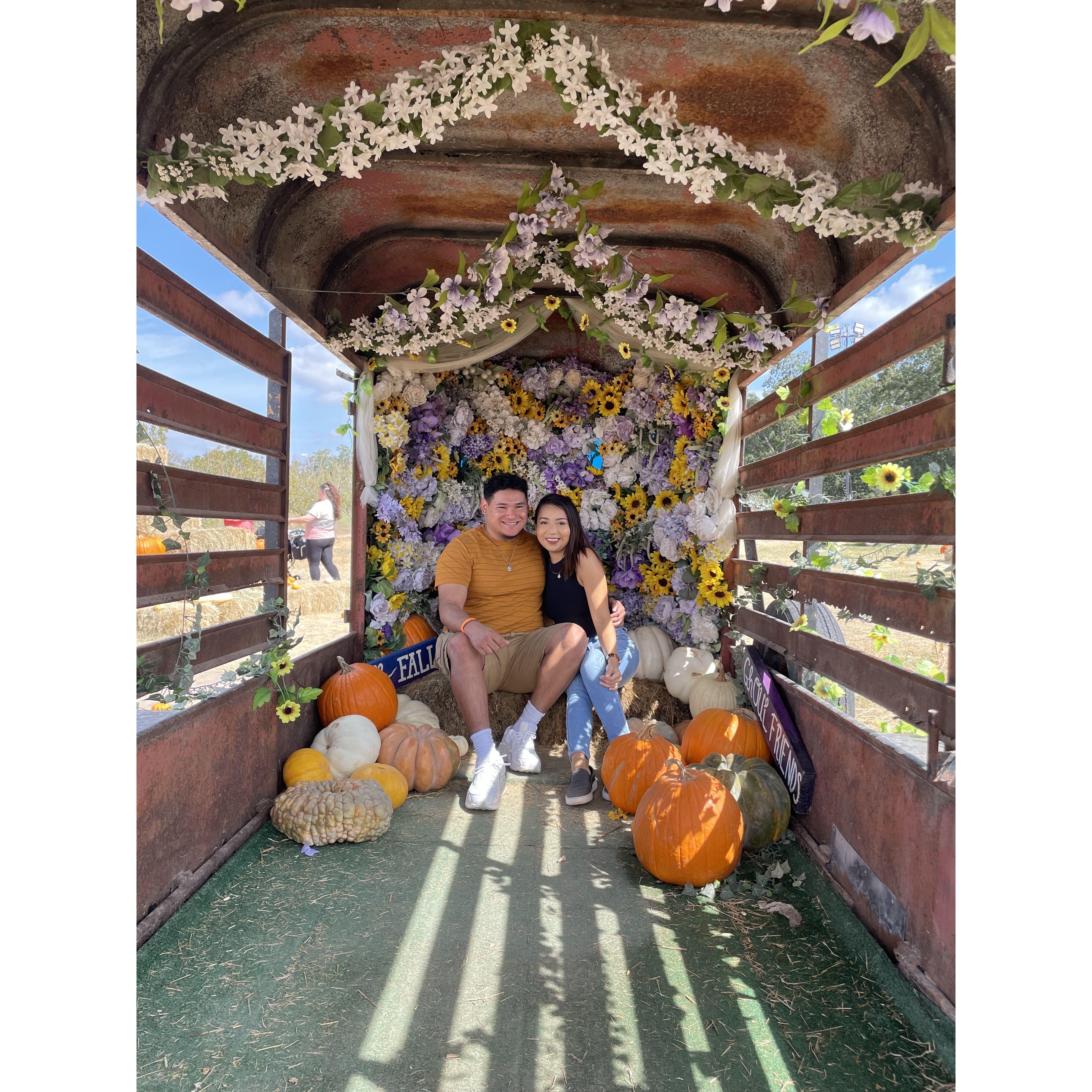 pumkin patch
