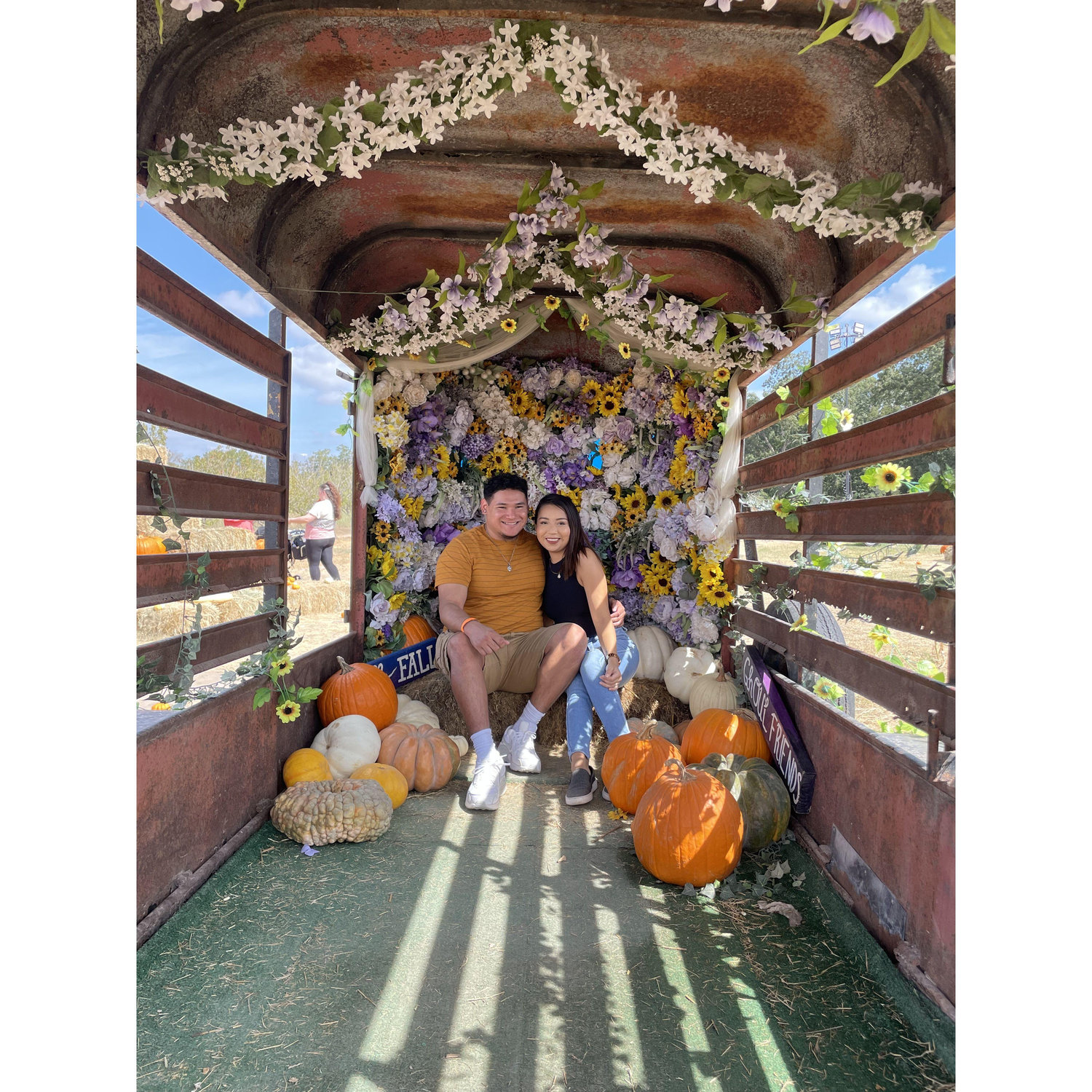 pumkin patch
