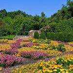 The North Carolina Arboretum
