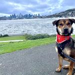 Fremont and Gas Works Park