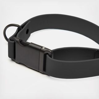 Signature Dog Collar