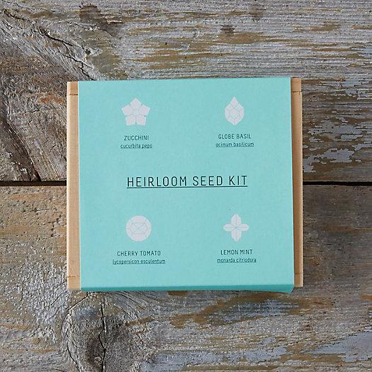 Veggie Seed Starting Kit