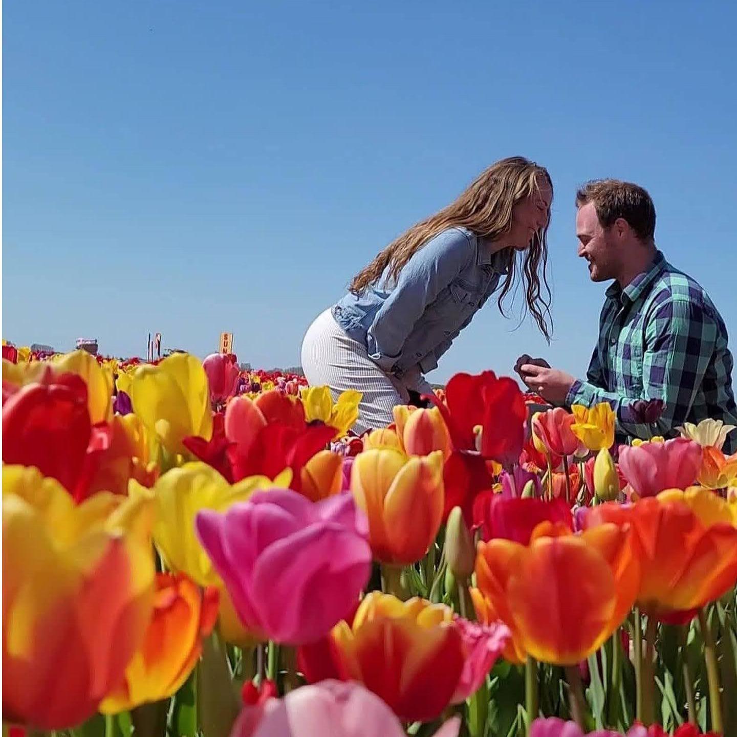Our Proposal in the Netherlands!