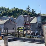 Village Cheese Shanty