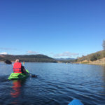 Kayak Tours