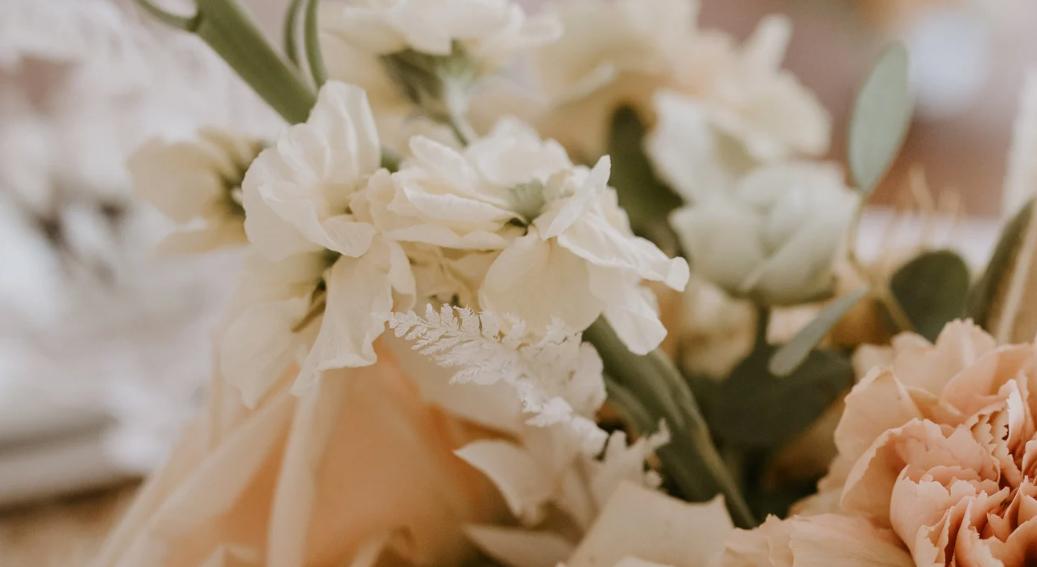 Footer image