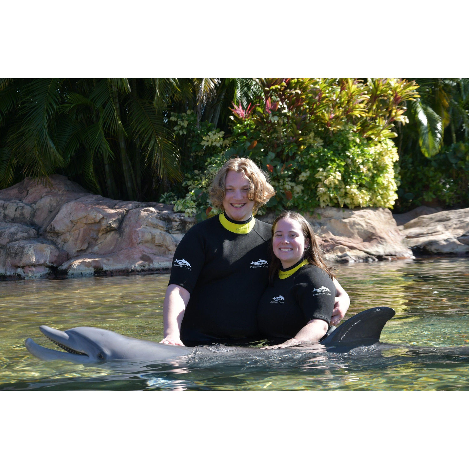 Swimming with the dolphins!