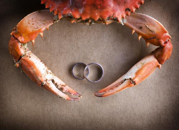 The Wedding Website of Alexa Stern and Ricky Fagan