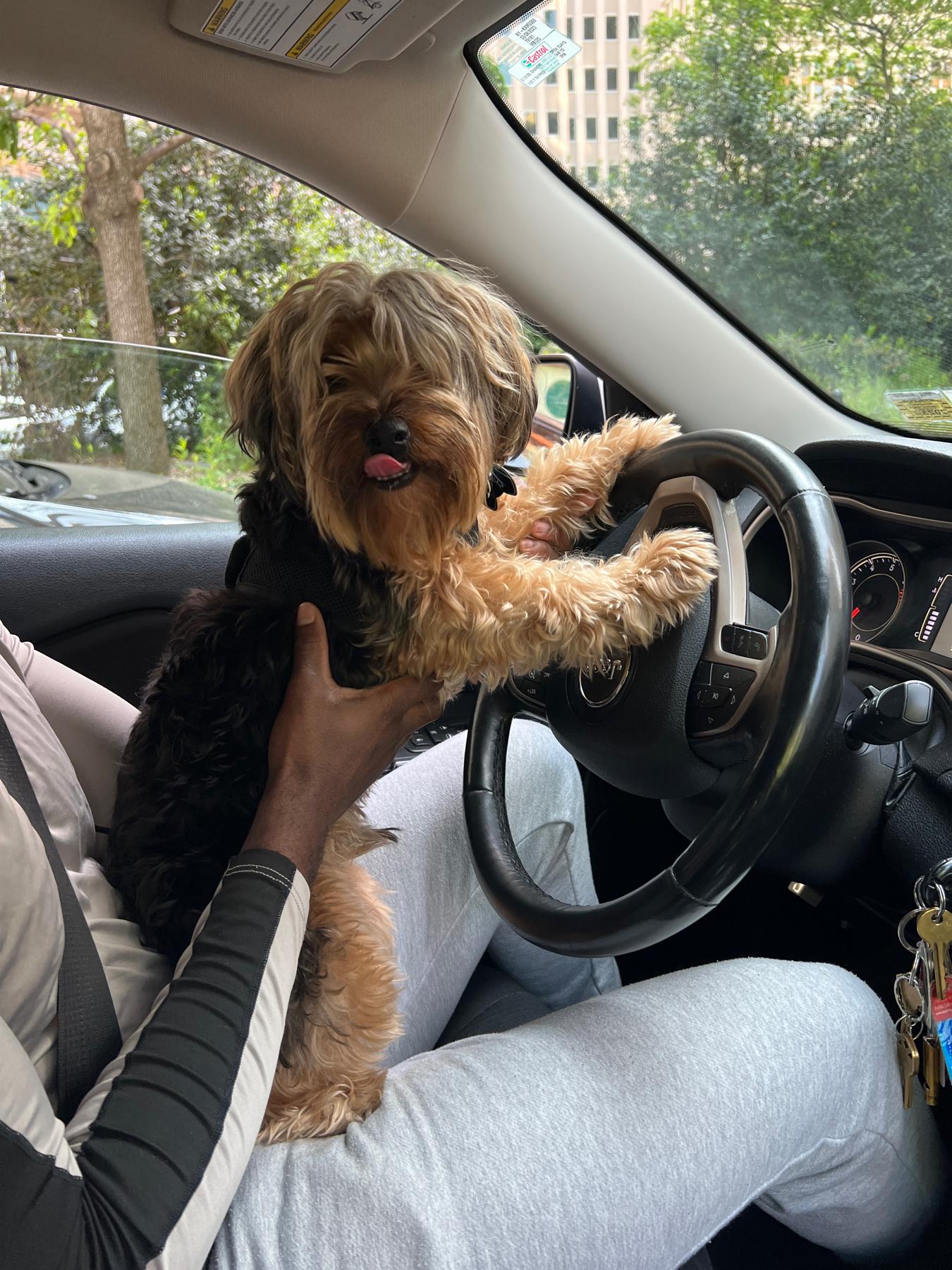 Ted showing off Sir Benjamin Franklin's driving skills!