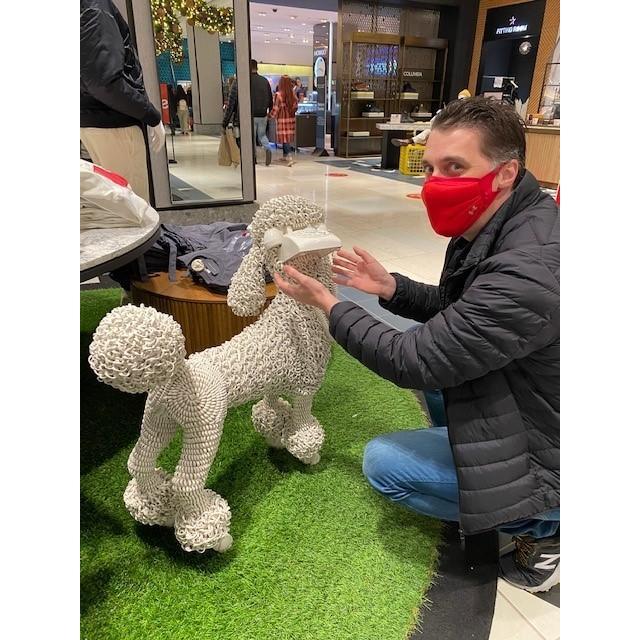 Pilot In Progress: If this dog doesn't bite, we can get a mini poodle!