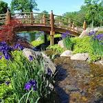 Wellfield Botanic Gardens