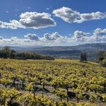 Hanzell Winery