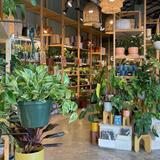 PlantHouse